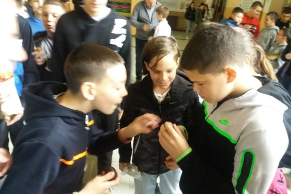 kucanje-jaja-43642F99E-AEA2-5779-3179-4FFCB3156F7D.jpg
